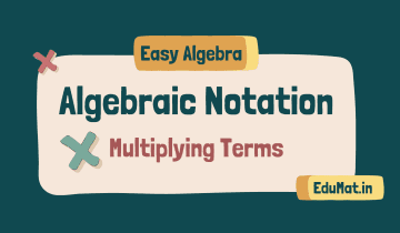 Algebraic Notation Multiplication Terms
