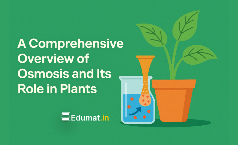 A Comprehensive Overview of Osmosis and Its Role in Plants